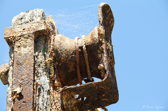 Poulie a la retraite XLespinas