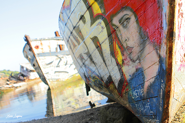 Cimetiere_Bateau_2019_IMGL8250_b_Web copie